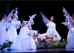Birmingham Ballet Hansel & Gretel2.jpg